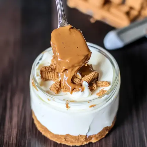 No-Bake Protein Biscoff Cheesecake